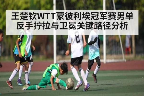 王楚钦WTT蒙彼利埃冠军赛男单反手拧拉与卫冕关键路径分析